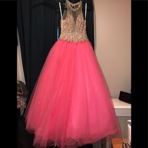 Quinceañera or Sweet 16 Ball Gown dress